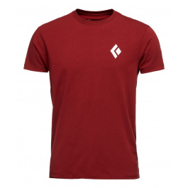 Футболка мужская Black Diamond M SS EQUIPMNT FOR ALPINIST TEE | Red Oxide | Вид 1