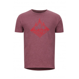 Футболка Marmot Rising Forest Tee SS | Burgundy/Heather | Вид 1