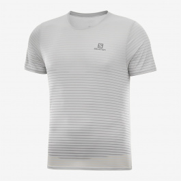 Футболка мужская Salomon SENSE TEE M | White/Night Sky | Вид 1